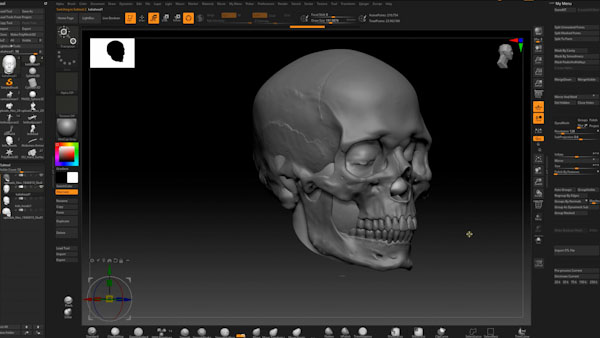 画像4：頭蓋骨のスキャンデータを頭部のスキャンデータにぴったりと合わせるためのサイジング