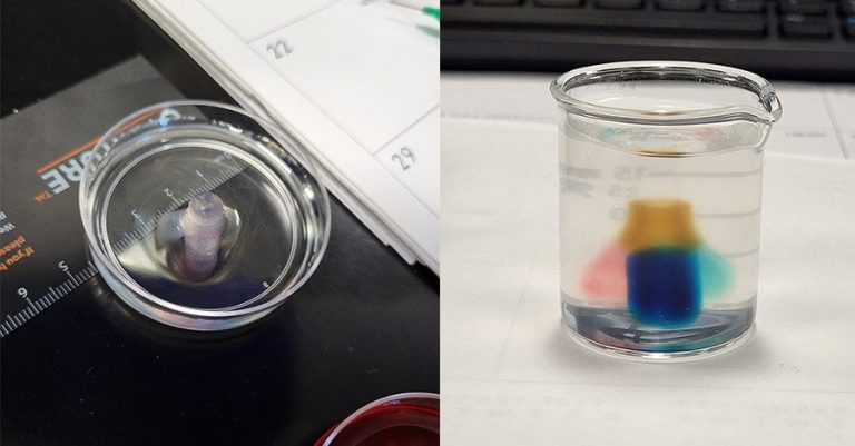 スティーブンス工科大学のチームは、医療専門家や病院と連携し、研究成果を実用的な応用へと結びつけた。